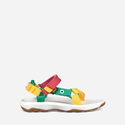 Teva Hurricane Xlt 2 - Hungry Caterpillar - Kids' Teva Hiking Sandals - Green | India (DWPG50921)